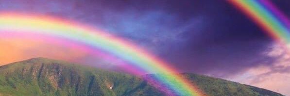 Avril Devaney MBE banner