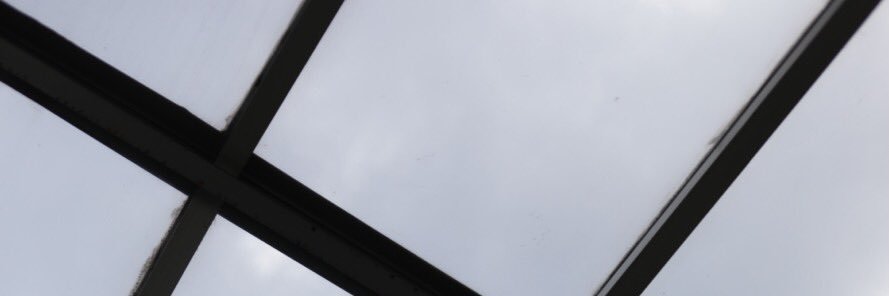 rachel d’alfonso banner