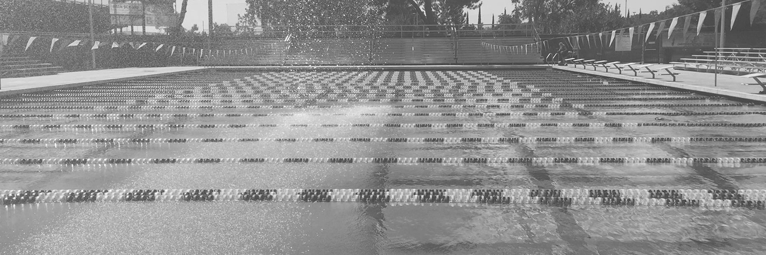 CSUB SWIMMING & DIVING banner