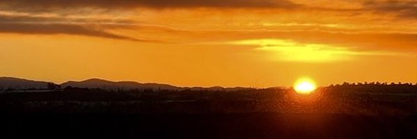 gonenlab Profile Banner