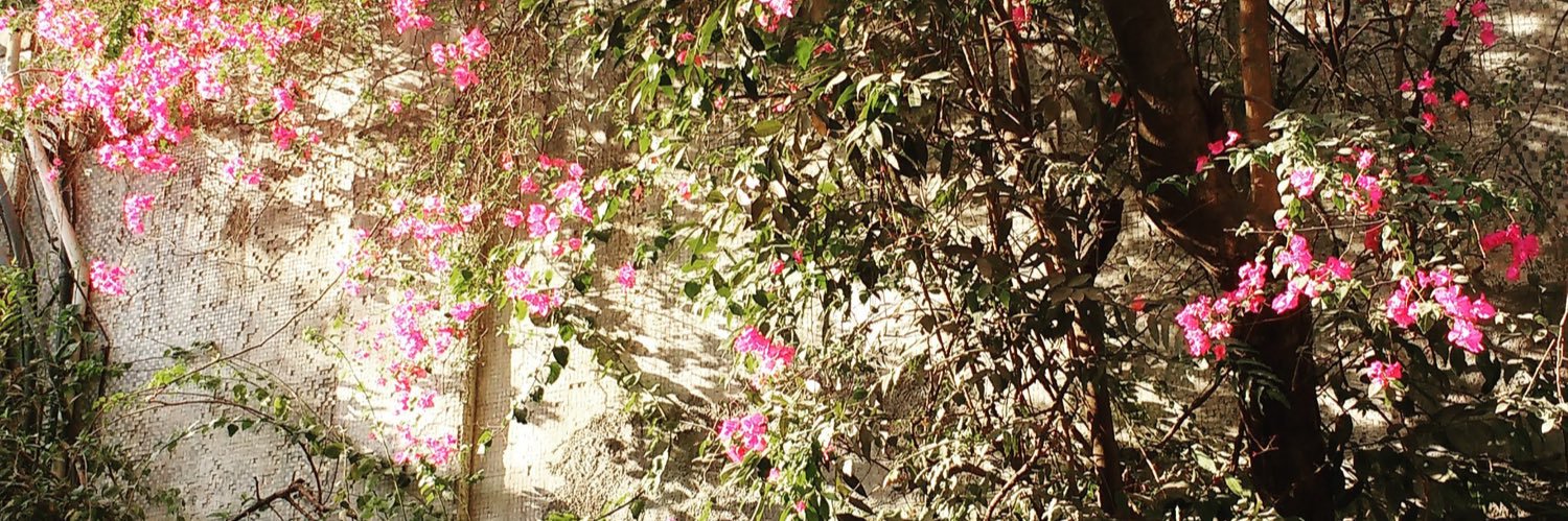perugannnam's profile banner image