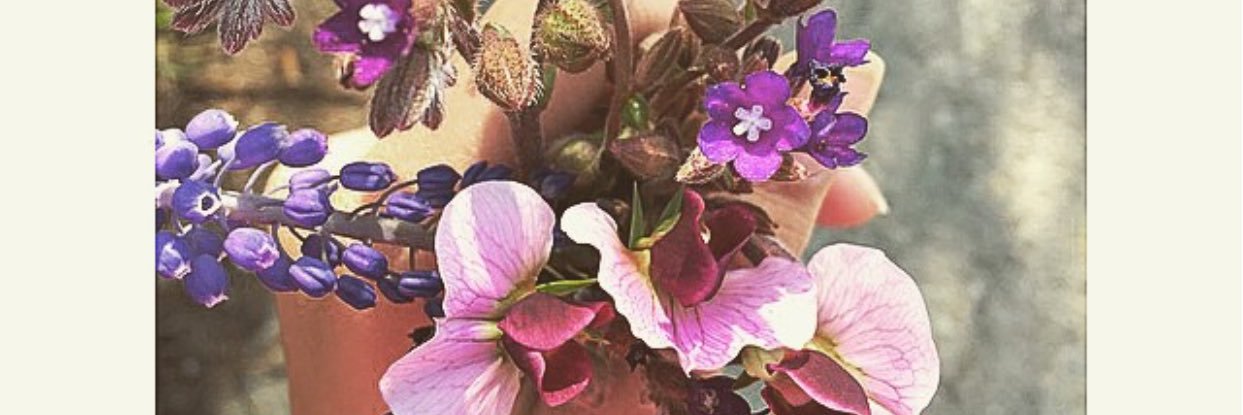 _L_ile's profile banner image