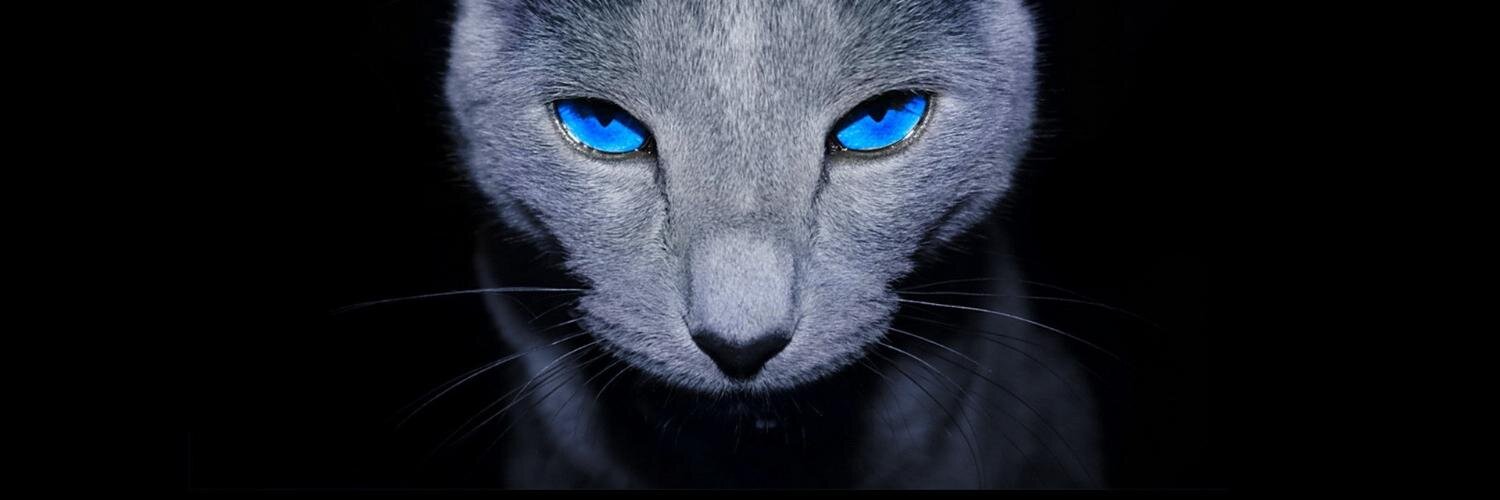 AdhamRamli's profile banner image