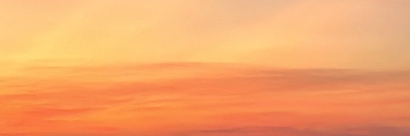 JuNetaohu's profile banner image