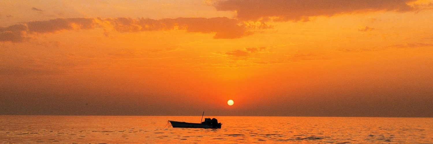 Pushkala's profile banner image