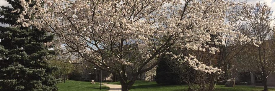 IUSB Center for Excellence Research & Scholarship banner