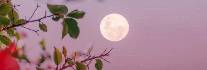 frh03_'s profile banner image