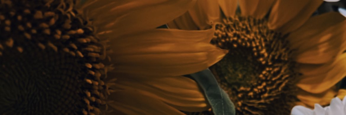 elshapertiwi's profile banner image