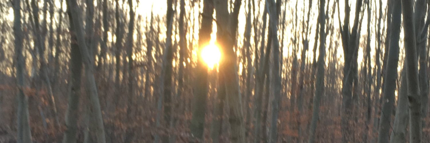 justice for all banner