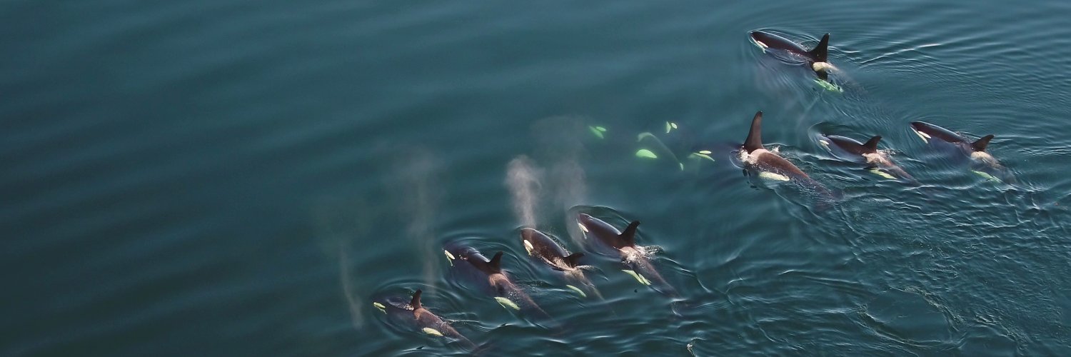 Raincoast Conservation Foundation banner