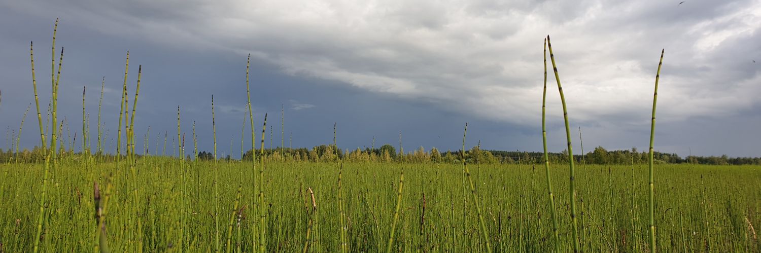 Vilppu Välimäki banner