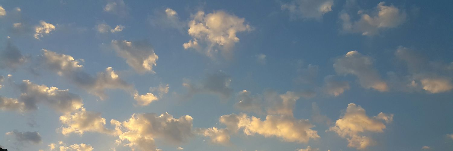 RT_q810's profile banner image