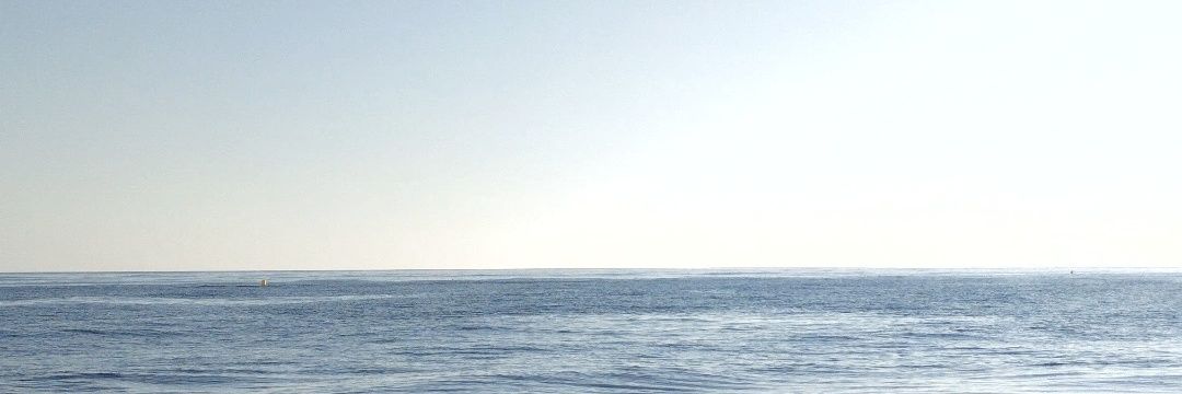 David Perea G. banner