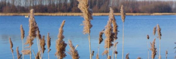 JbJelsma's profile banner image