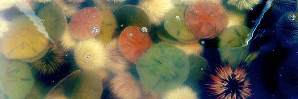 LyonsLab_SIO Profile Banner