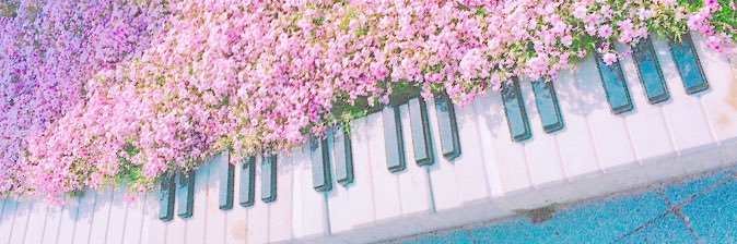 ho_924's profile banner image