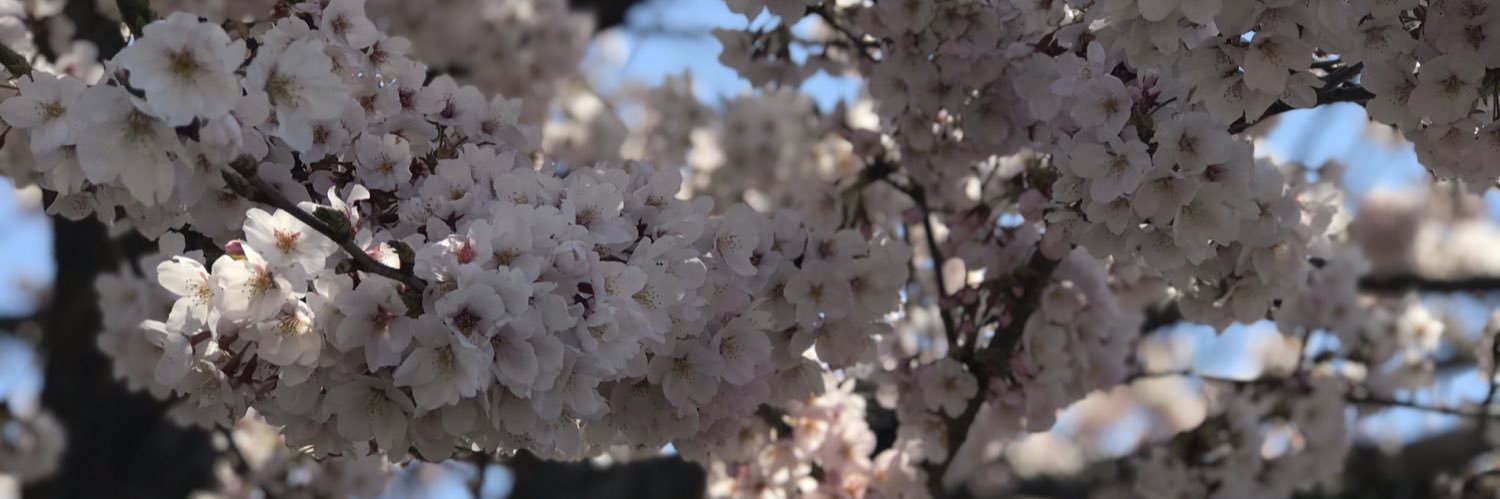 たかみね banner