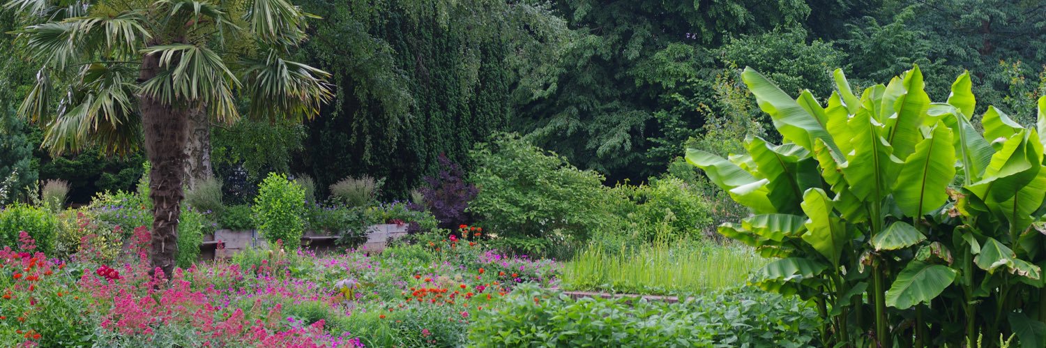 Sondergarten's profile banner image