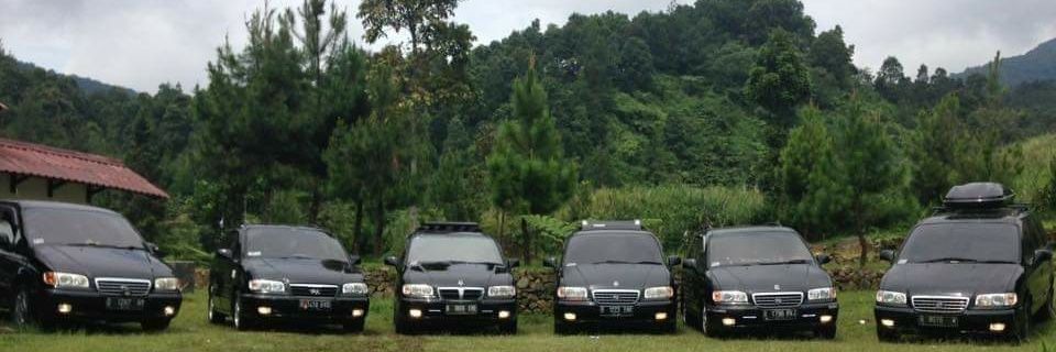 hardidani's profile banner image
