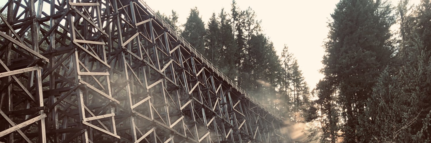 Brock and Roll banner