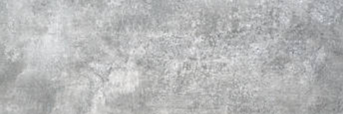 Witkacy's banner
