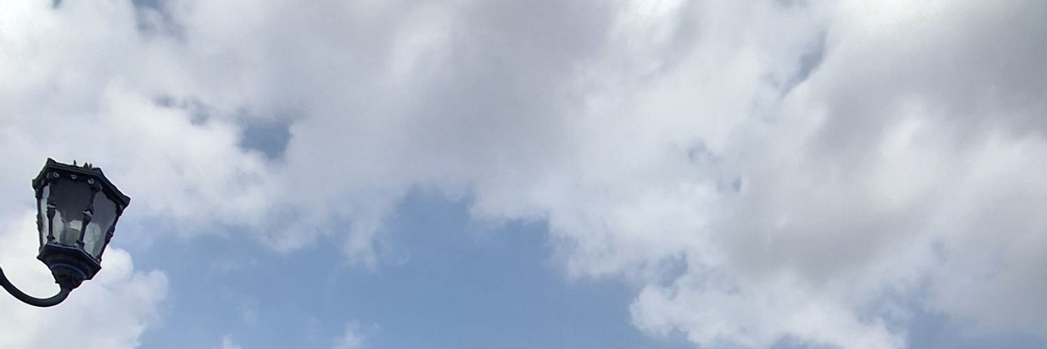 nin banner