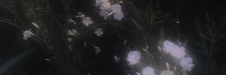 yelbiee's profile banner image