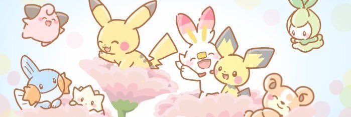 sol🌷 banner