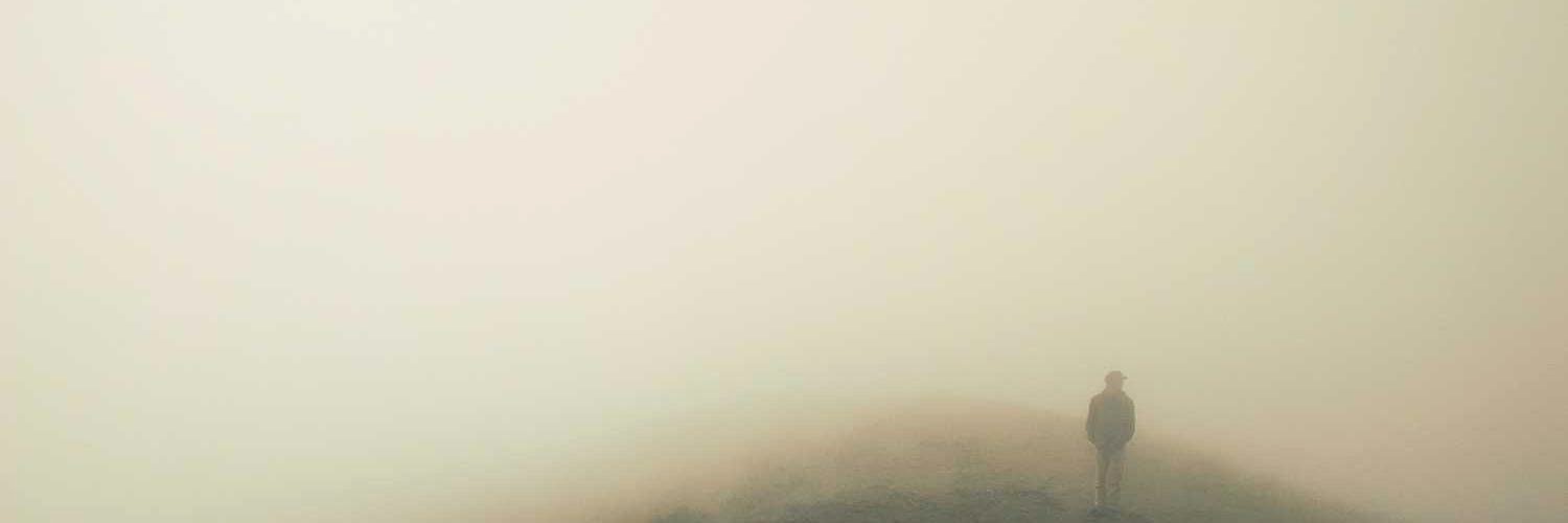 dewisithas's profile banner image