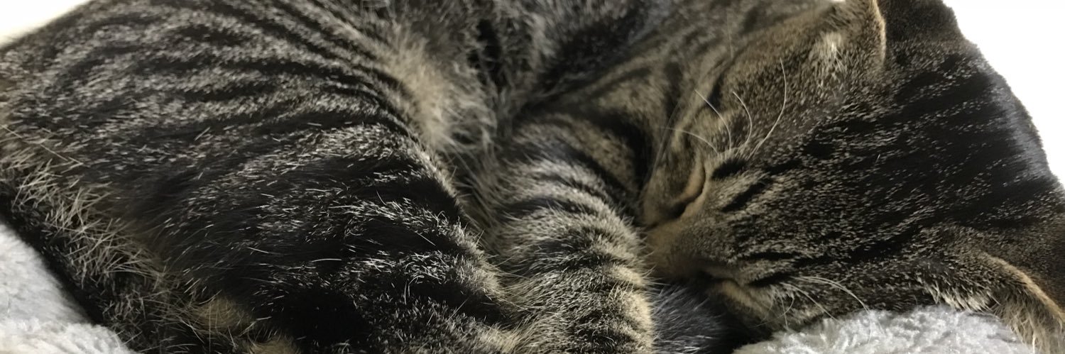 ふわらいど banner