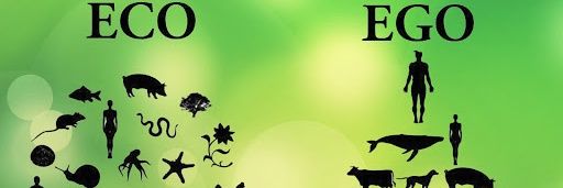 benedetta turchetti ❄️🔬🧬 banner