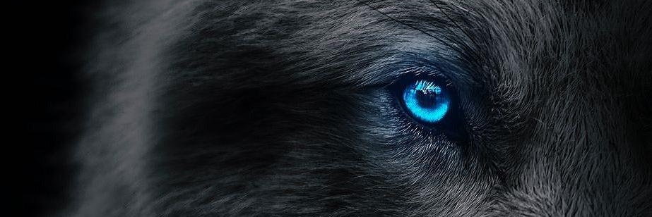 Terryanthony22's profile banner image