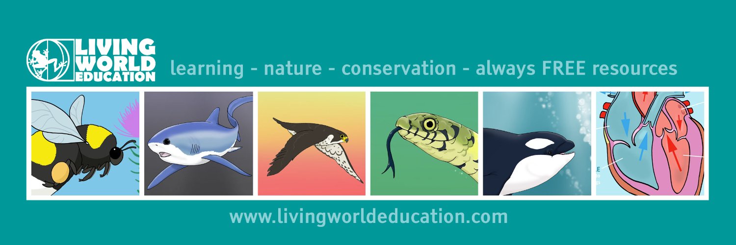 LivingWorldEducation banner