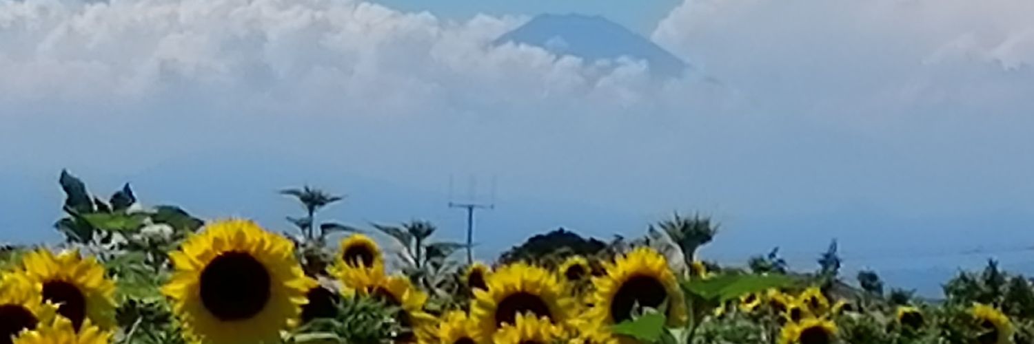 Yokina Negisky banner