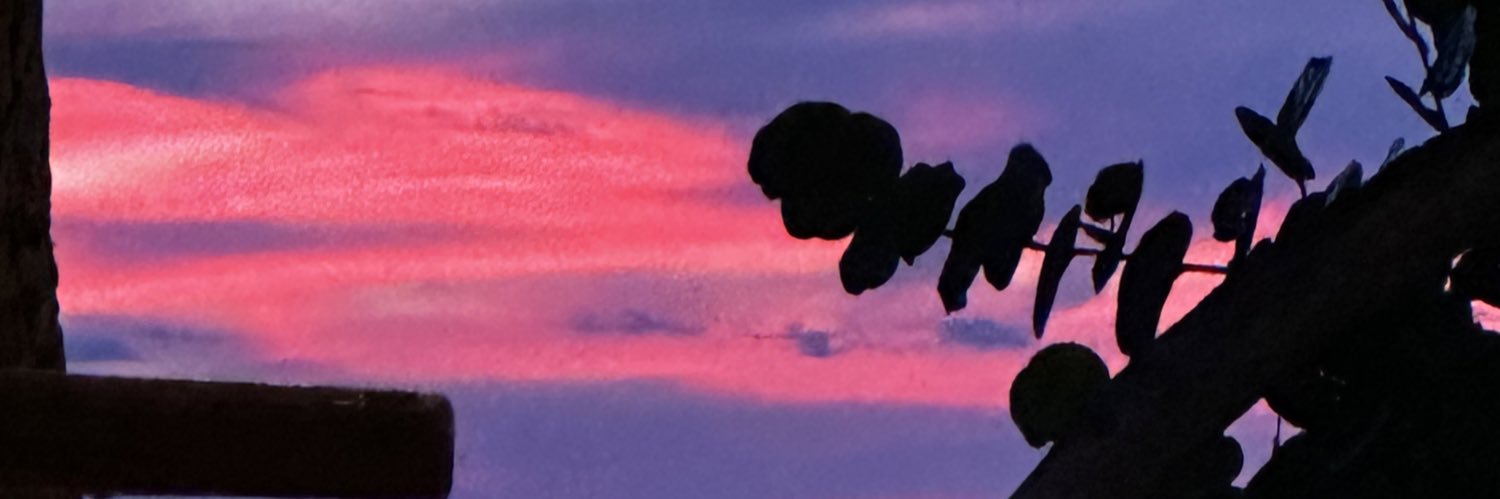 RamonPereyraIV's profile banner image