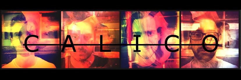 WeAreCalico's profile banner image