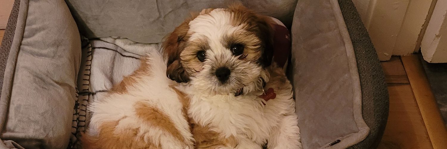 ClodaghBurke3's profile banner image