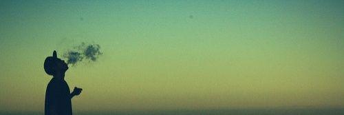 avifee's profile banner image