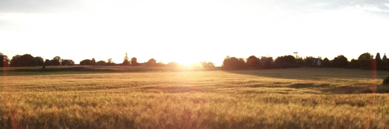 remellianne's profile banner image