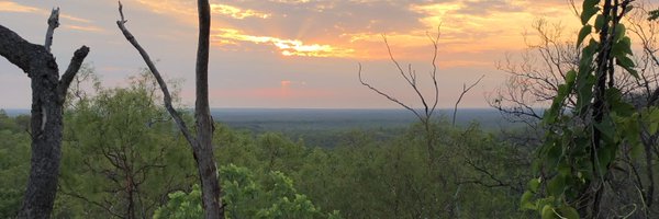 bridge_campbell Profile Banner