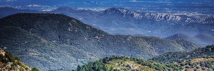 Claude Atcher banner