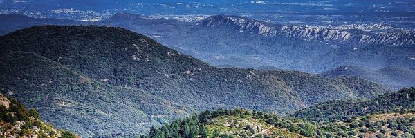 ClaudeATCHER Profile Banner