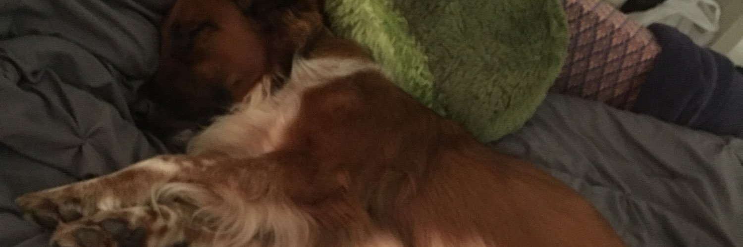 jeniboop's profile banner image
