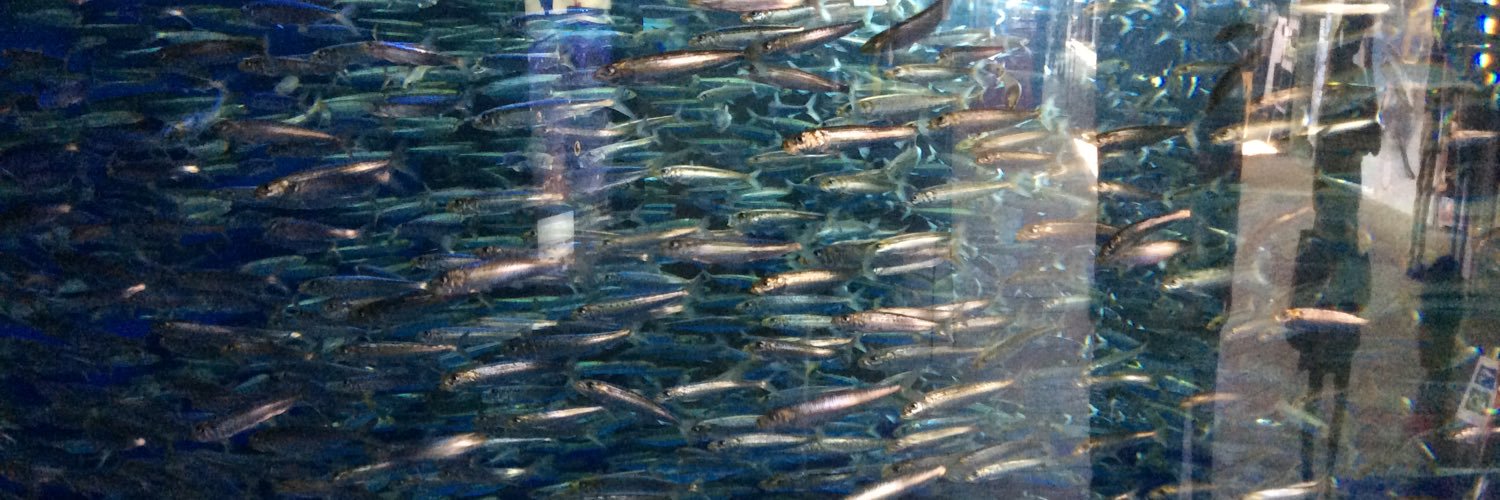 プロフみてね❤️ banner