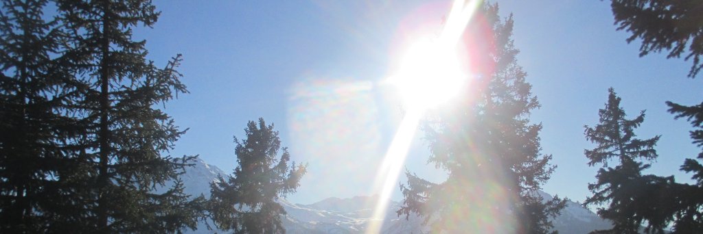 AnnaTapper2's profile banner image