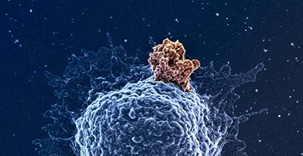 Franck Lescure banner