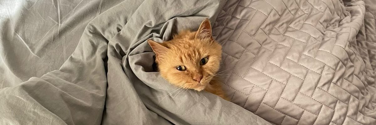 Maggie966's profile banner image