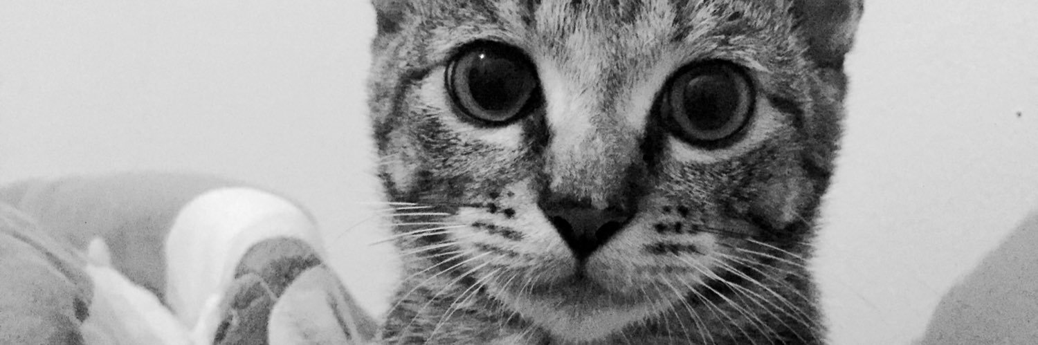 nvrprmt's profile banner image