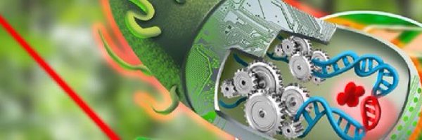 LeoRiosLab Profile Banner