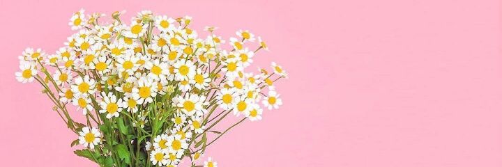 Yunuyunn's profile banner image